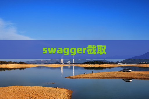 swagger截取